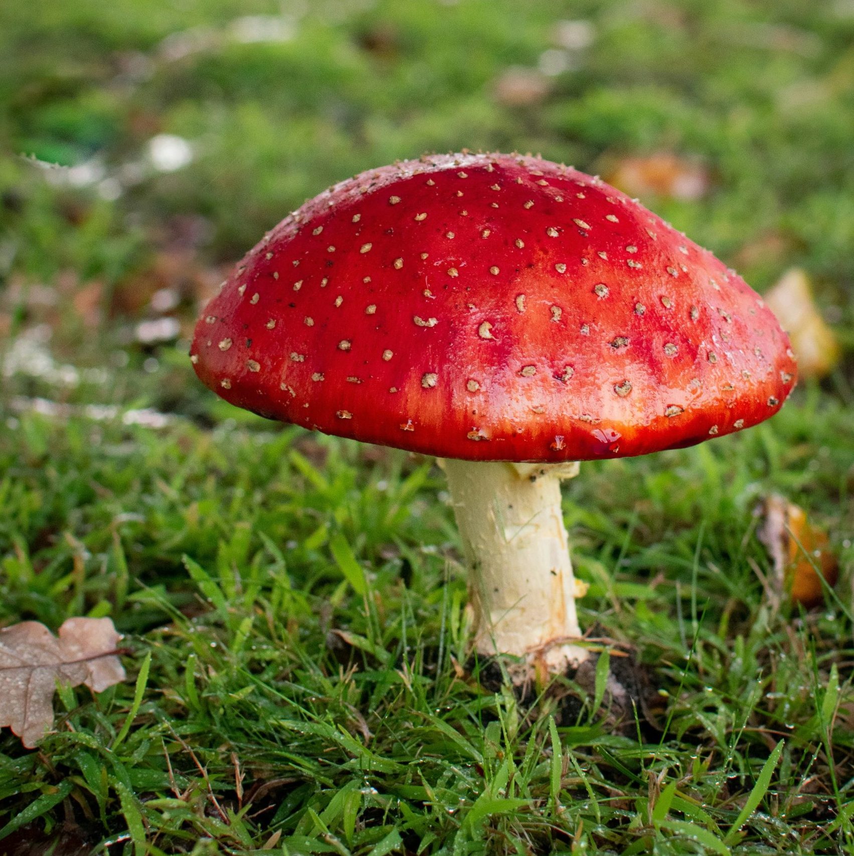 Photo by Fiona Smallwood on Unsplash